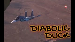Satan's Duck (Su 34)