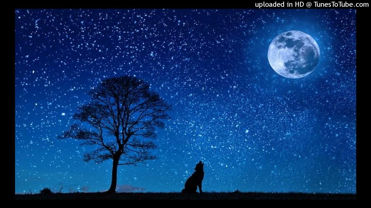 [FREE] SECH REGGAETON TYPE BEAT