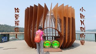 20210329d日月潭伊達邵碼頭給登岸旅人小憩片刻的巢