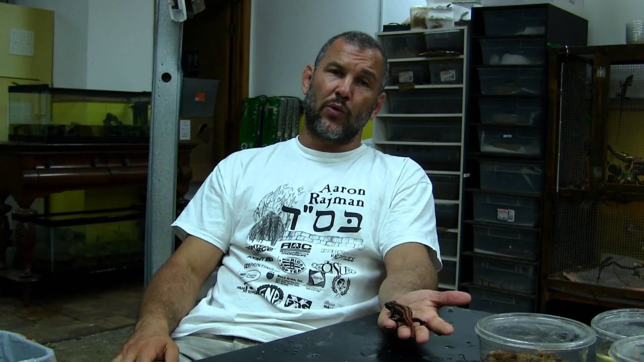 leopard print Fireworks, Reptiles, Amphibians and ... Skunks! - 20 MINUTES UNDERGROUND #36