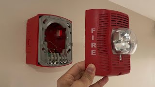 Installing System Sensor SpectrAlert Advance Speaker/Strobes | Fire Alarm System Upgrade