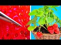 Easy garden hacks to grow any plant at home 🍓