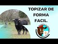 TOPIZAR DE FORMA FACIL..