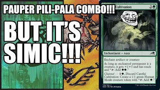 Simic Pals List! Pili Pala Careful Cultivation Combo