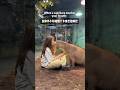 capybara 卡皮巴拉 當你不小心碰到了水豚嘴吧 #水豚 #水豚君 #卡皮巴拉 #呆萌 #cute #可愛い #萌寵 #療癒 #short