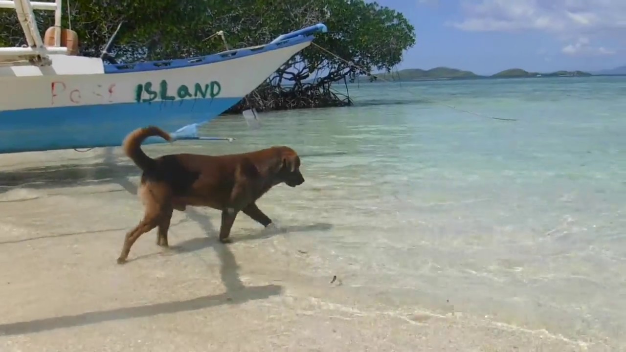 Pass Island Coron Palawan
