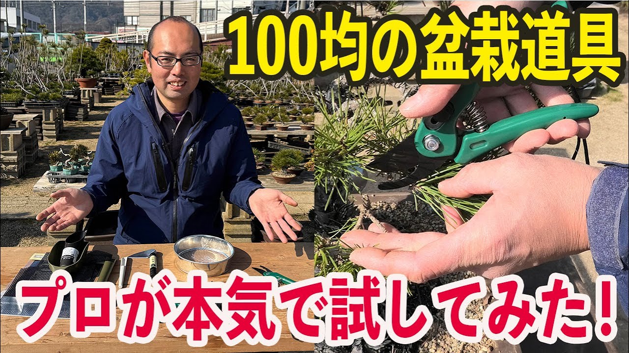 100円ショップで盆栽道具は揃うのか？プロが本気で検証！