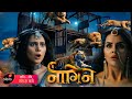 Naagin 7 NEW PROMO : Naagin VS Lions & Tigers 🤯 Colors TV