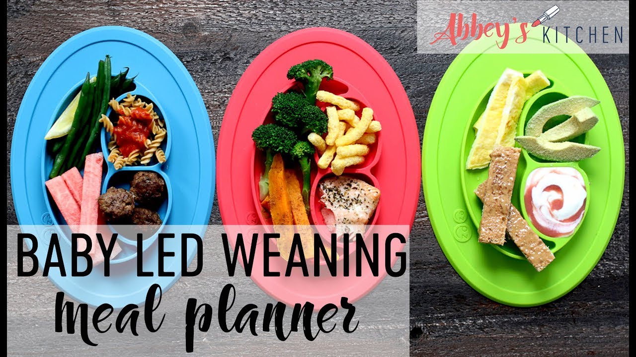 baby led weaning 1 year old