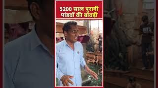 5200 साल पुरानी पांडवों की बावड़ी#rockymittal #PandavBaori #5200YearsOld #AncientIndia #IndianHistory