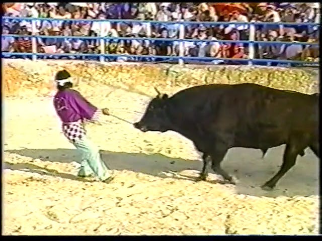 第29回読谷まつり　2003年11月2日　読谷まつり闘牛大会