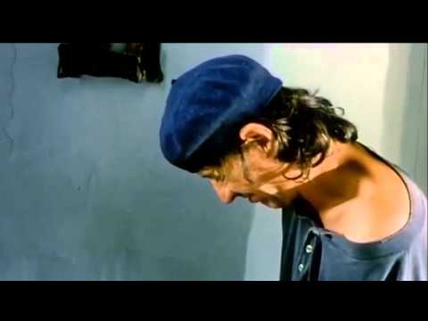 Anyád! A szúnyogok