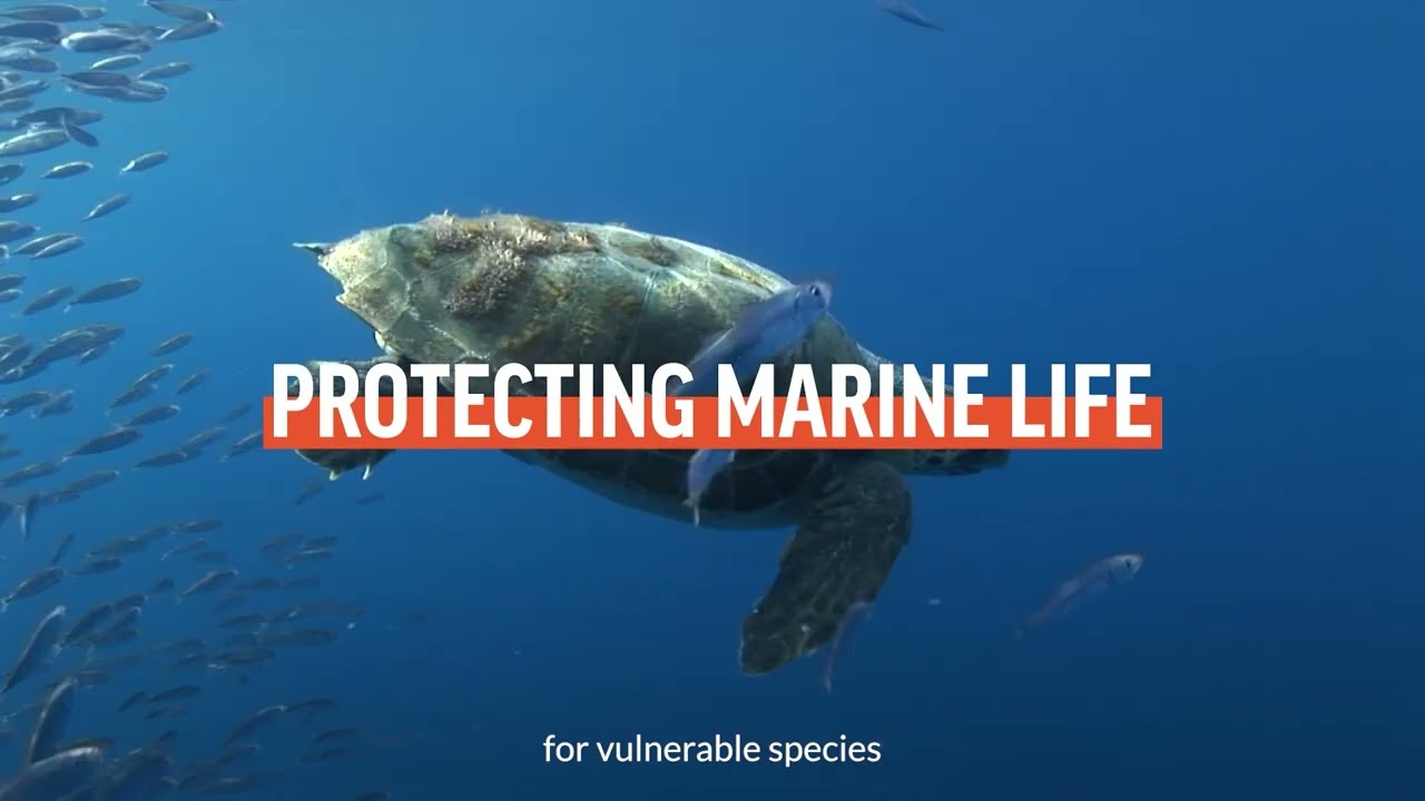 Oceana in Europe: 20 years rebuilding ocean abundance