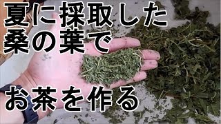 【桑葉茶自作】夏の桑の葉茶を自作する【健康茶】【Mulberry leaf tea】