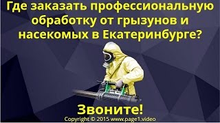 Профессиональная обработка от грызунов и насекомых в Екатеринбурге(, 2016-02-27T23:09:20.000Z)