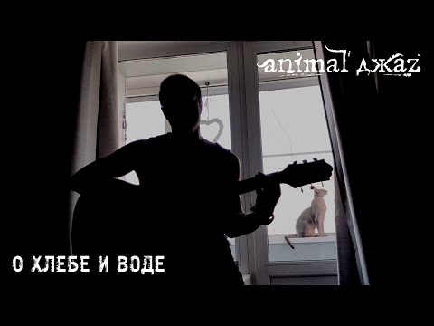 Animal ДжаZ — О хлебе и воде