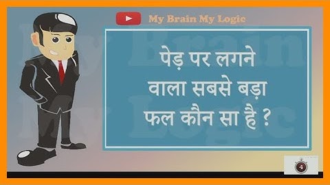 most brilliant ias questions and answer | ias interview question | My brain My Logic