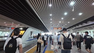 Download Lagu Journey to My Roots | From Guangzhou to My Ancestral Hometown in Taishan MP3 Download Lagu Journey to My Roots | From Guangzhou to My Ancestral Hometown in Taishan MP3