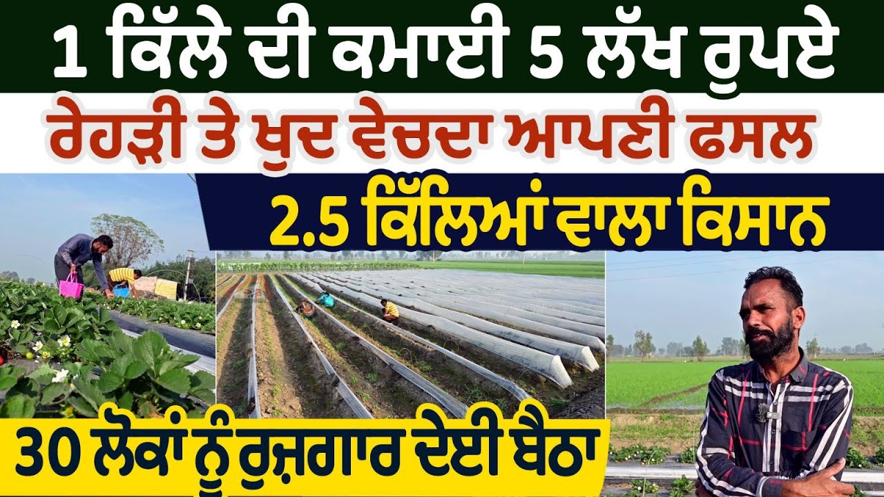 1 ਕਿੱਲ੍ਹੇ ਦੀ ਕਮਾਈ 5 ਲੱਖ ਰੁਪਏ ਰੇਹੜੀ ਤੇ ਖੁਦ ਵੇਚਦਾ ਆਪਣੀ ਫਸਲ। 2.5 ਕਿੱਲਿਆਂ ਚ 30 ਲੋਕਾਂ ਨੂੰ ਦਿੱਤਾ ਰੁਜ਼ਗਾਰ।