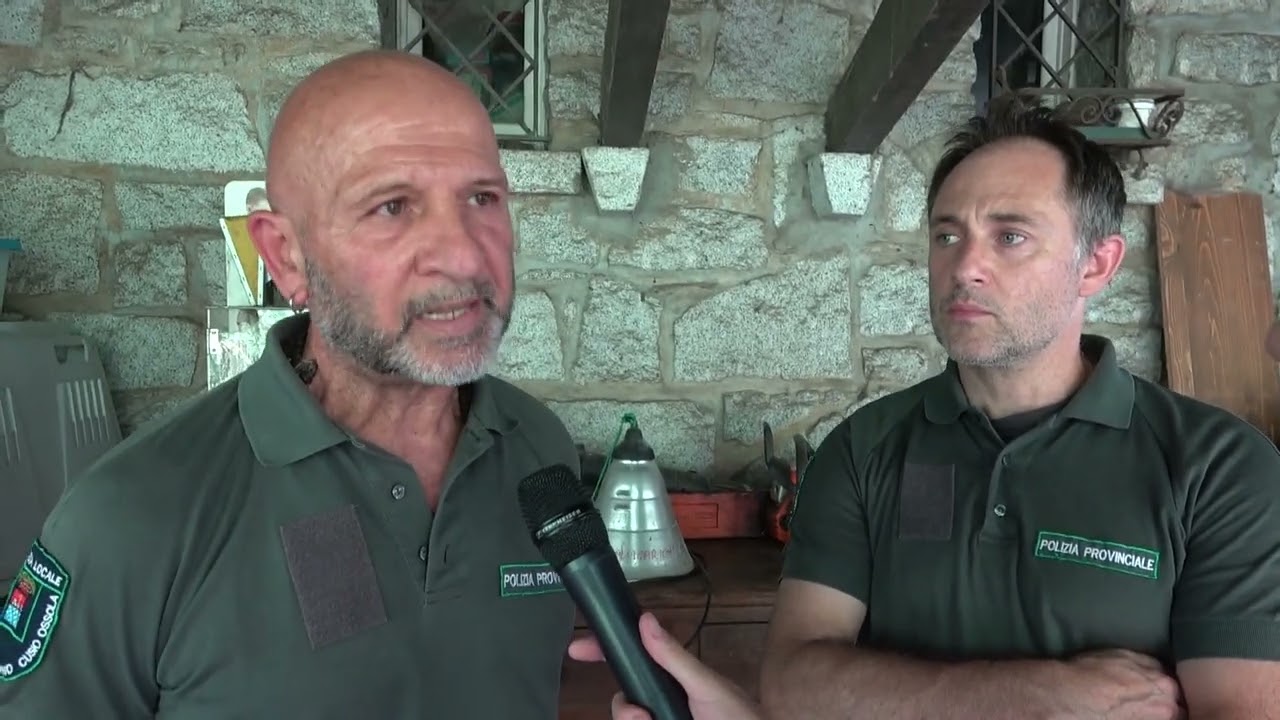 La polizia provinciale e il recupero degli uccelli malati, un' antenna per la salute dell'ambiente