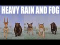 Wild Animals in Heavy Rain and Fog Speed Race in Planet Zoo included Bear, Saiga, Lynx, Bison, Hyena