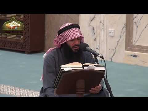 115 - شرح دليل الطالب / كتاب التعزير 2 - عثمان الخميس