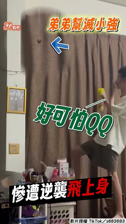 弟弟幫姊滅蟑「慘遭逆襲」「飛撲上身」怕爆急脫衣自救｜TVBS新聞｜擠看看@TVBSNEWS01