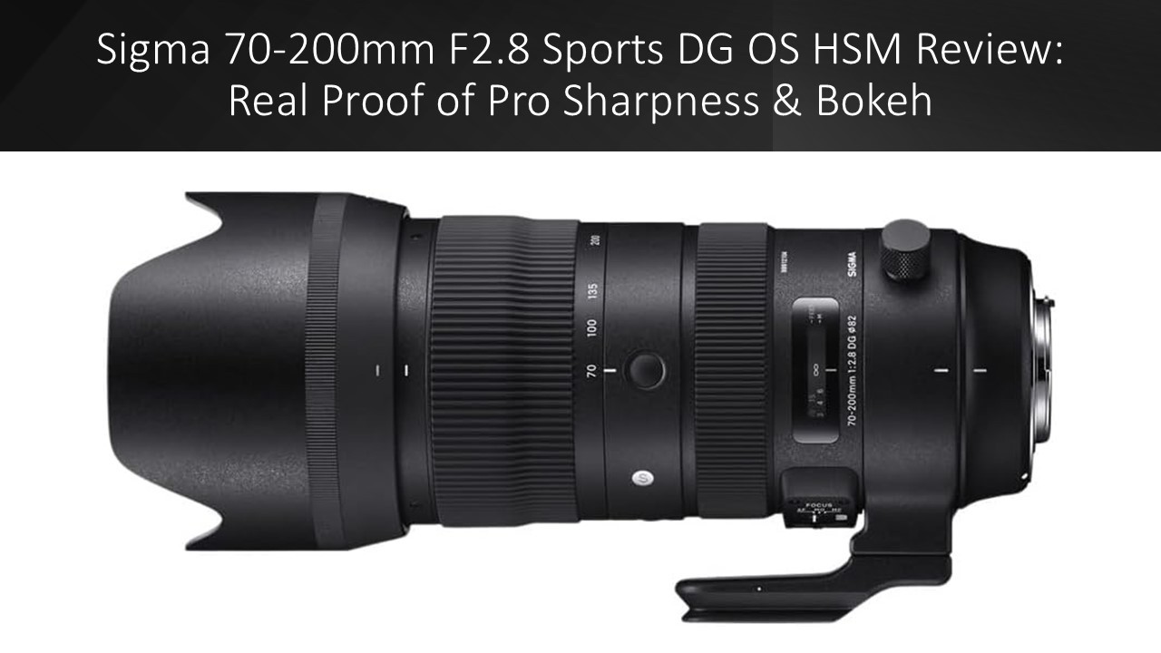 Sigma R Proof Sigma 70-200mm F2.8 Sports DG OS HSM Review: Real Proof of Pro ...