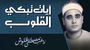 صوت عذب يبعث الطمأنينة | تلاوة تُشرح الصدر | القارئ الشيخ راغب غلوش