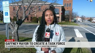 Gaffney mayor to create new violent crime task force