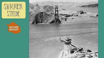Nature Boost: Spanning the Golden Gate