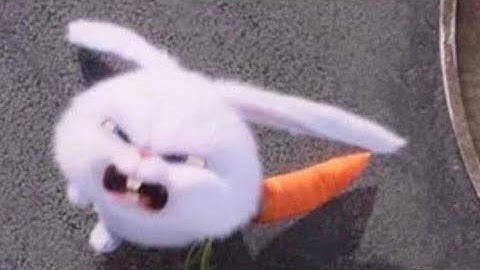 [NTTU] Giới thiệu bản thân | Kỹ Năng Giao Tiếp