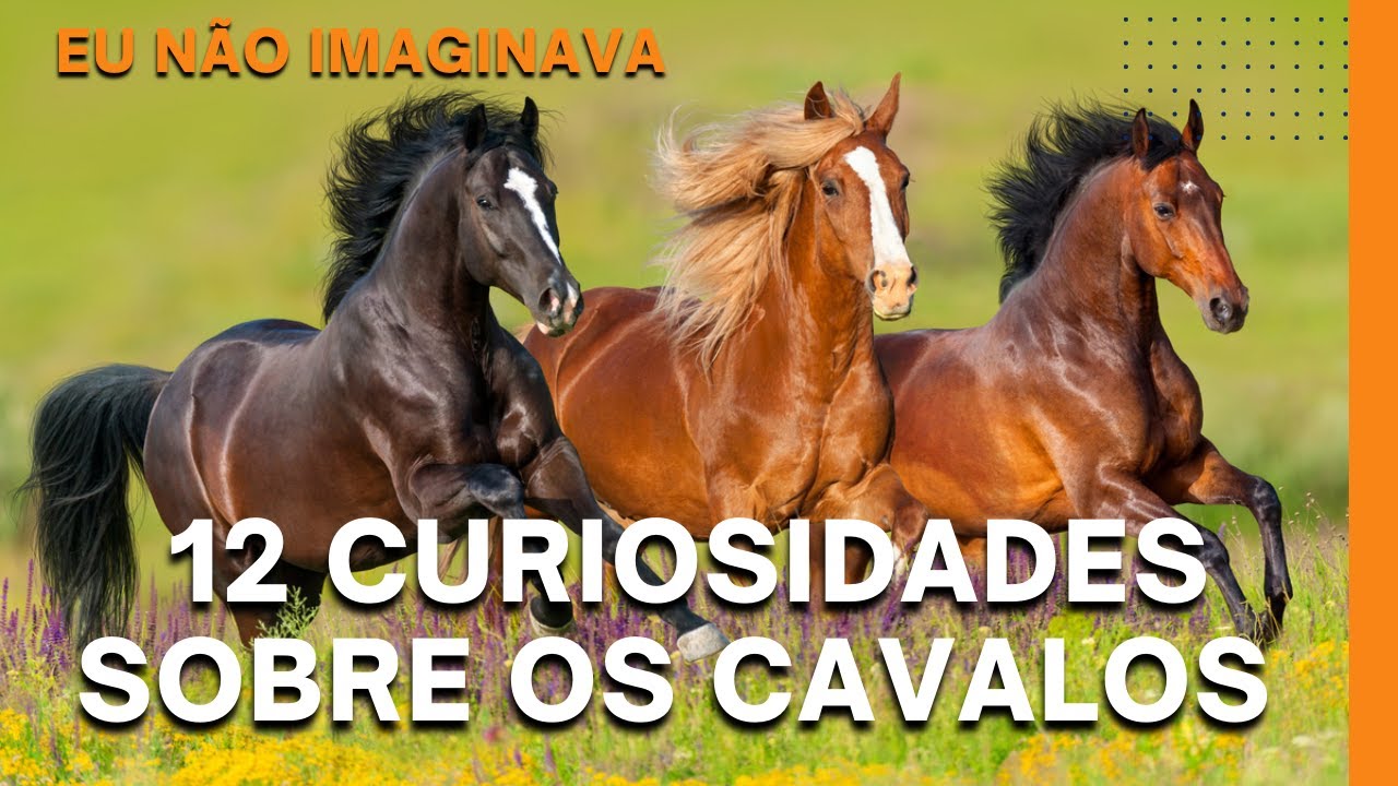 12 curiosidades sobre os cavalos - YouTube