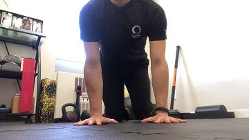 Quadruped Variations for Shoulder Mobility | Stability