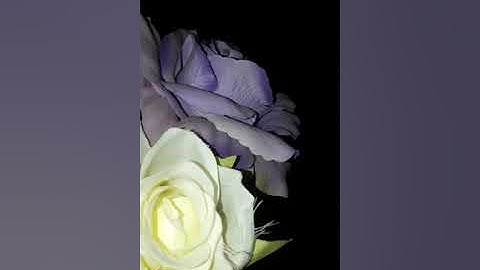 سورة المزمل الشيخ عبد الرحمن بن جمال العوسي❤
