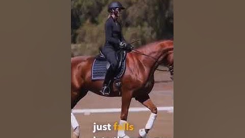 The secret to the canter trot transition! #shorts