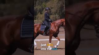 The secret to the canter trot transition! #shorts