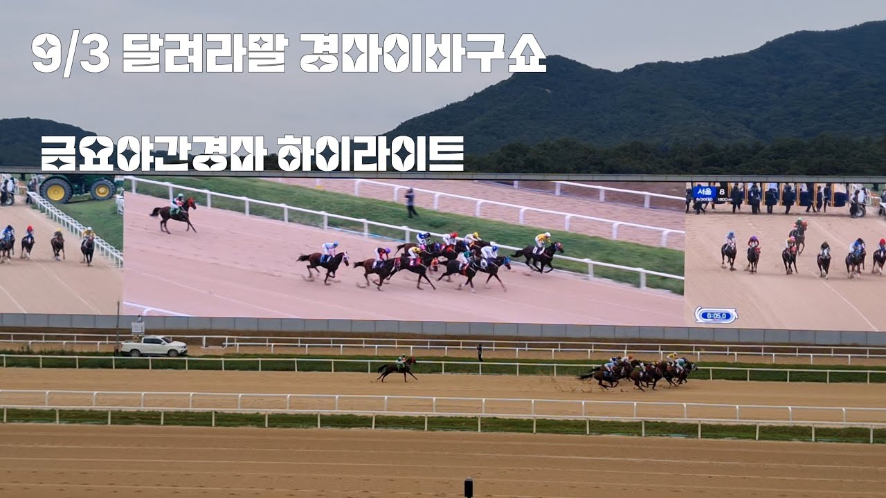 마요일이 시작되는구나~(금요야간경마 하이라이트)