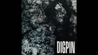DIGPIN - S/T - [FULL ALBUM]