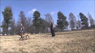 Obedience in Bitework