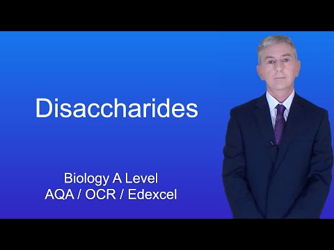 A Level Biology Revision "Disaccharides"