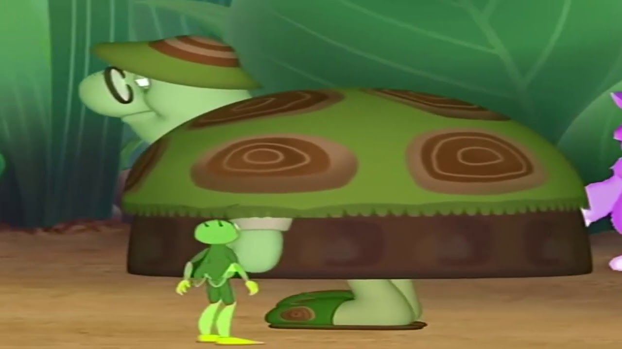 Уход и содержание