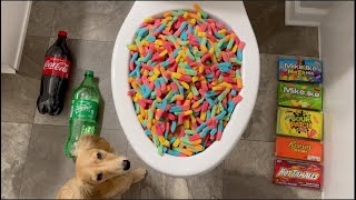 Will it Flush? - Gummy Worms, Coca Cola, Fanta, Sprite, Puppy, M&Ms, Skittles, Candy, Pepsi