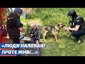 «Люди налякані – проте живі…»