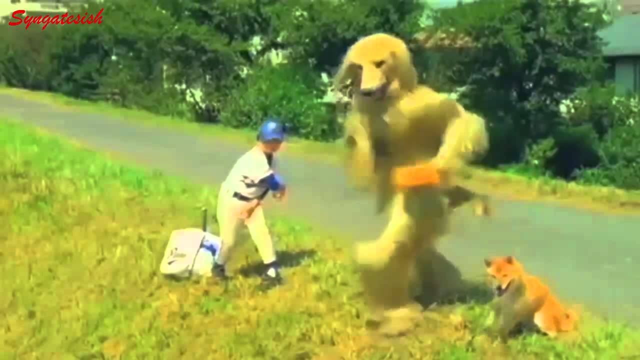 Comercial Consome Panchi 2012 YouTube