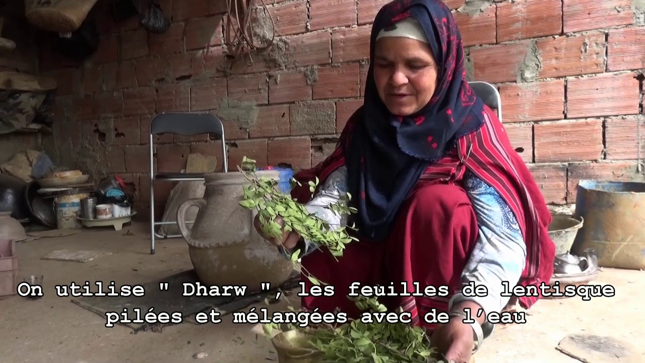 Pottery skills of the women of Sejnane