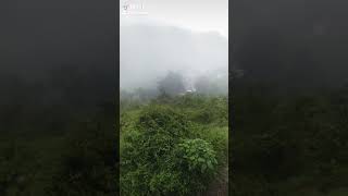 Dang Bat Bus Jadaicha