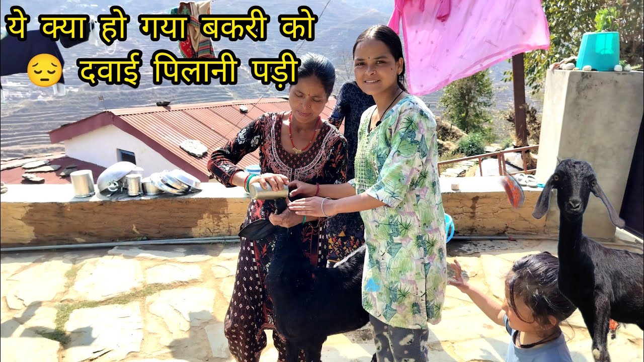 ये हमारी बकरी को 😔क्या हो गया दवाई पिलानी पड़ी!! #pahadilifestyle 