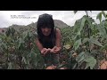 Costumbres (TV Perú) - Temporada de pesca en el norte chico - 07/05/2019