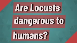 Are Locusts dangerous to humans?